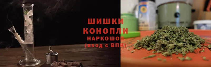 Каннабис SATIVA & INDICA  как найти закладки  Бийск 